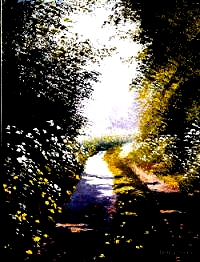 Narrow Lane